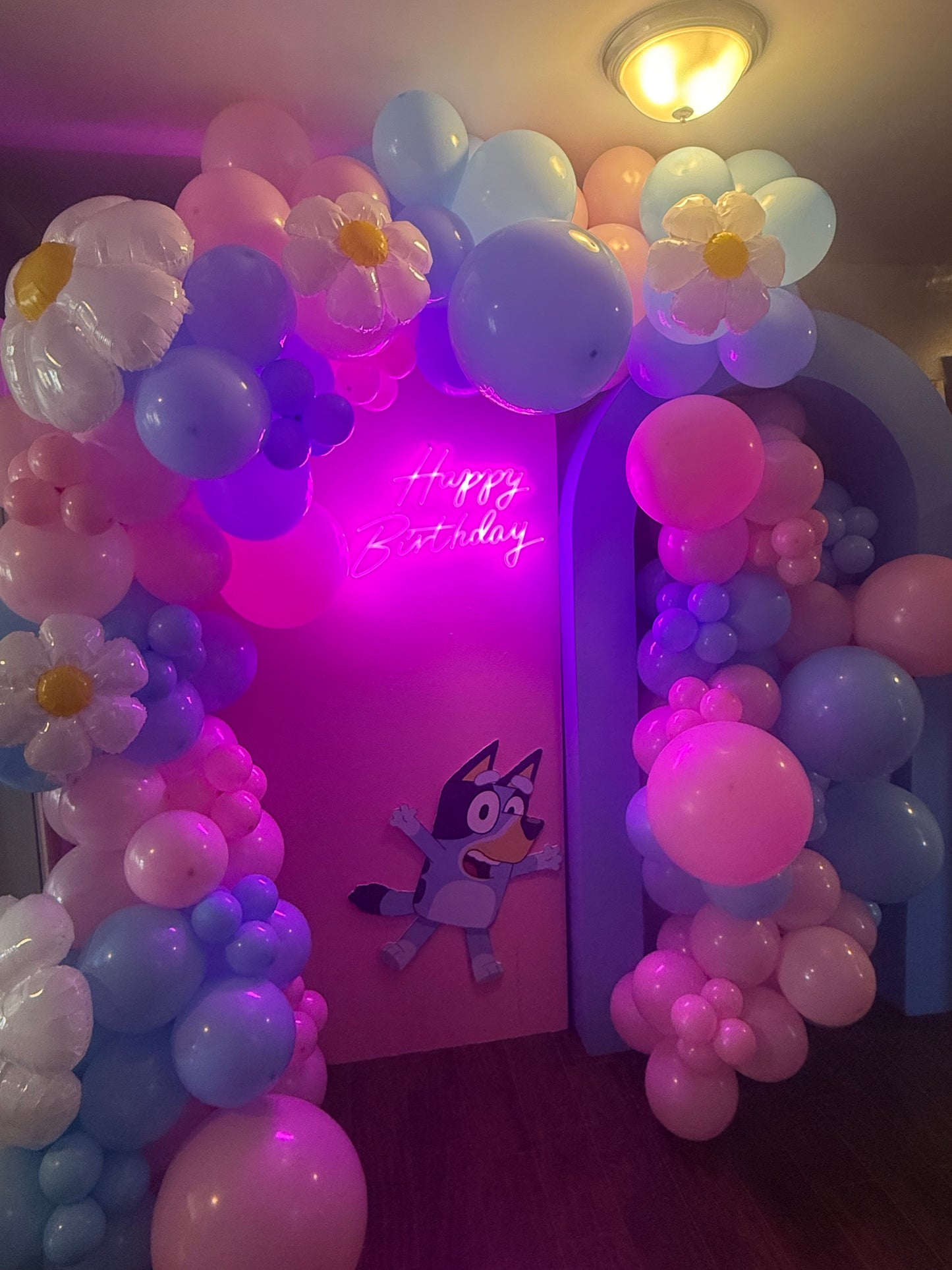 Balloon Garland Classic 12ft