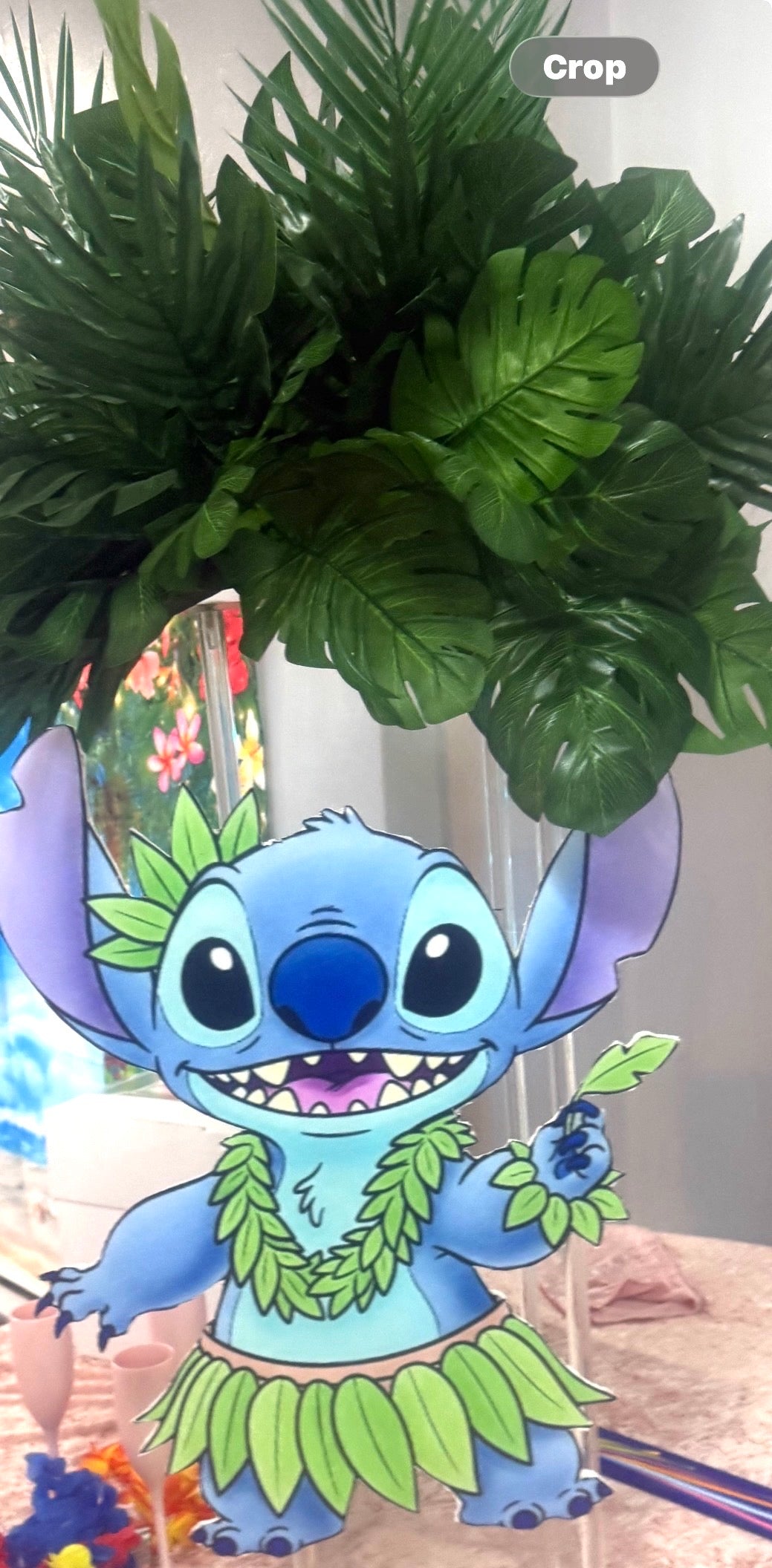 2 ft Cut Outs