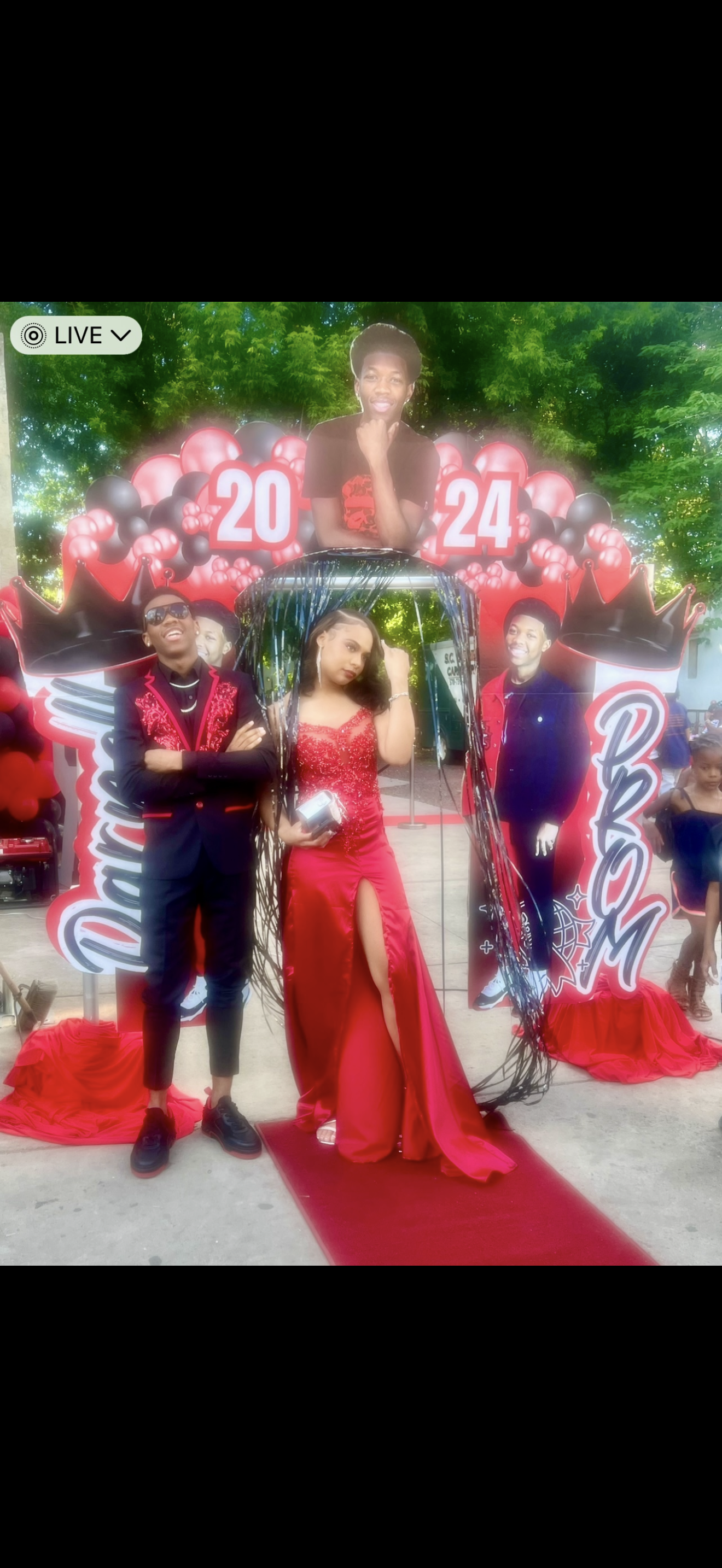 Photo Arch Custom